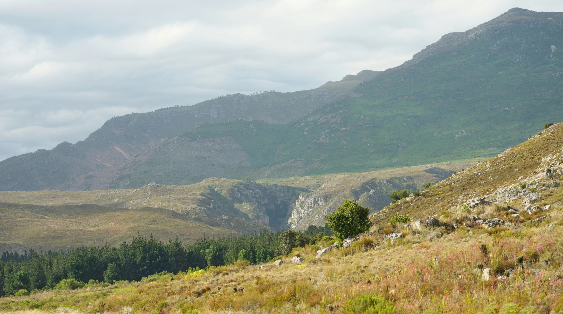 Mountain valley landscape in the Western Cape near Greyton